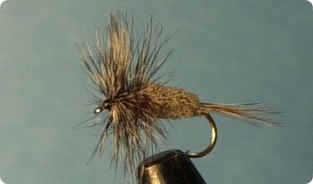 Dry FliesAdams Irresistible