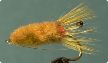 BonefishCritter.jpg