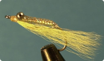 CrazyCharleyCHARTREUSE.jpg