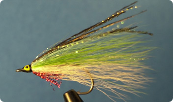 Saltwater FliesAbels Anchovy