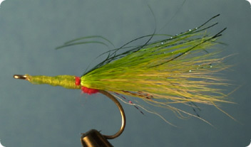 needlefish.jpg
